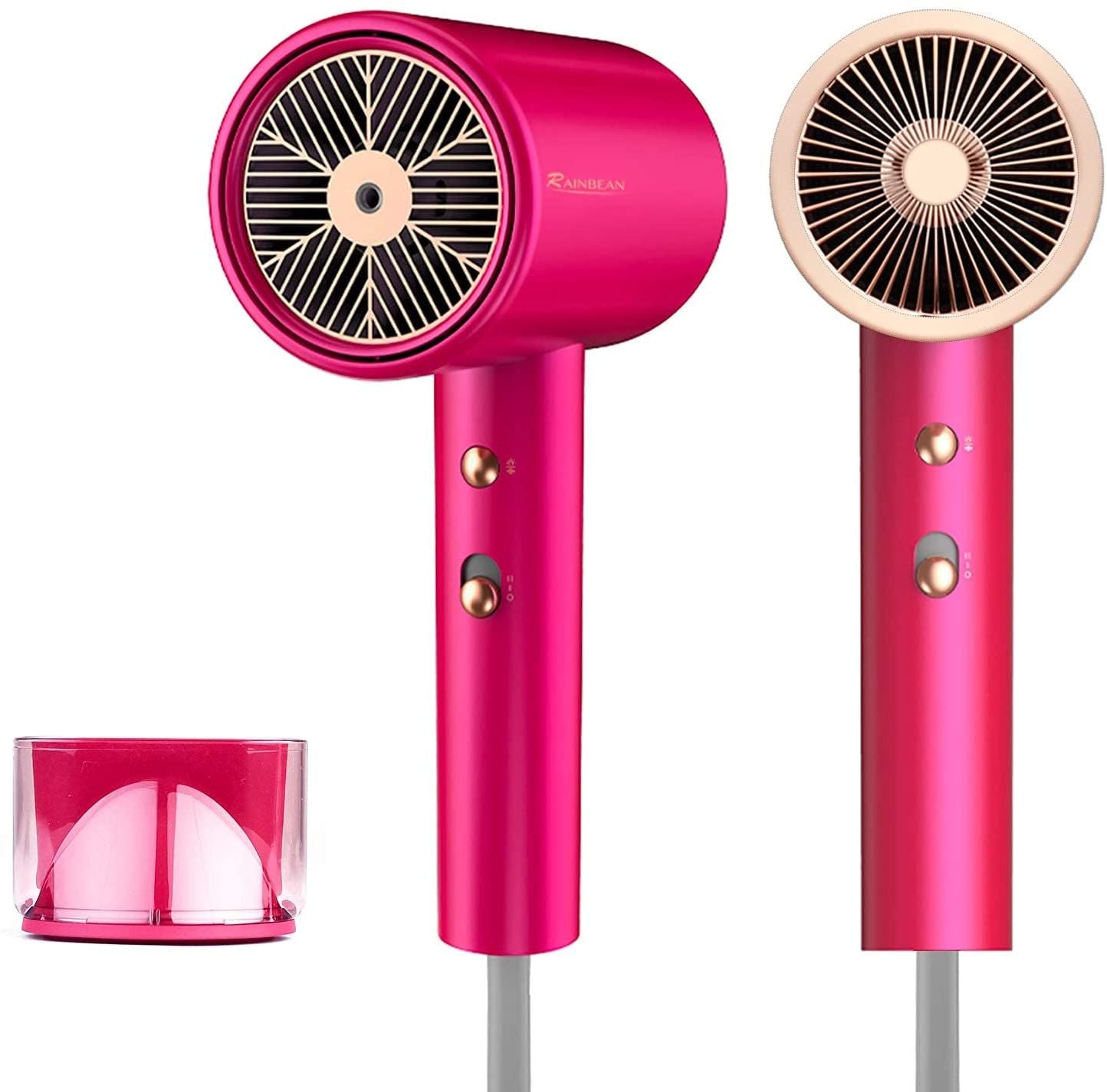Iconic Hair Blow Dryer