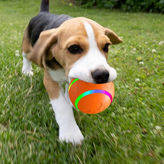 Smart Ball Stimulation Pet Toys