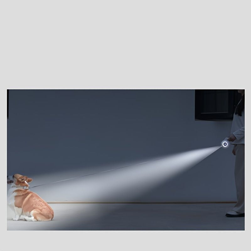 Retractable Dog Leash With LED Flash Light