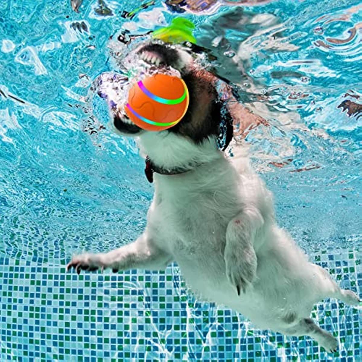 Smart Ball Stimulation Pet Toys