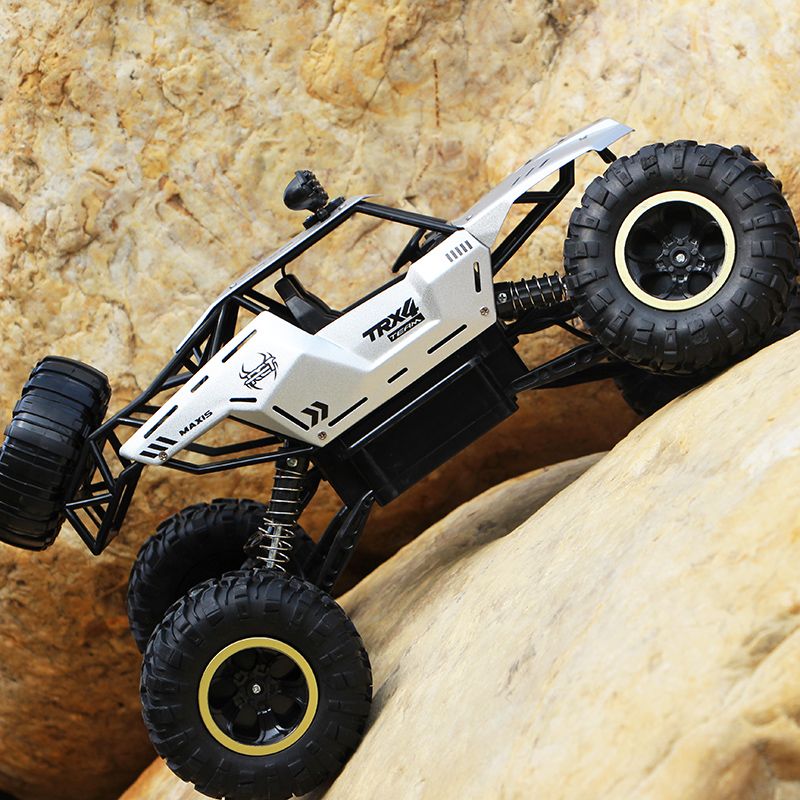 Remote Control Car and Monster Truck