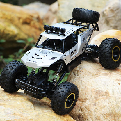 Remote Control Car and Monster Truck